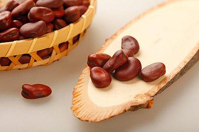 战棋roguelike游戏《源泉》Steam页面上线 第一季度发售